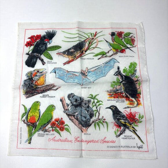 Australian Endangered Species Handkerchief Heil Koala Ghost Bat  Forest Dragon - Picture 6 of 6